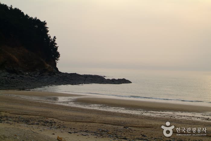 의항해수욕장_08