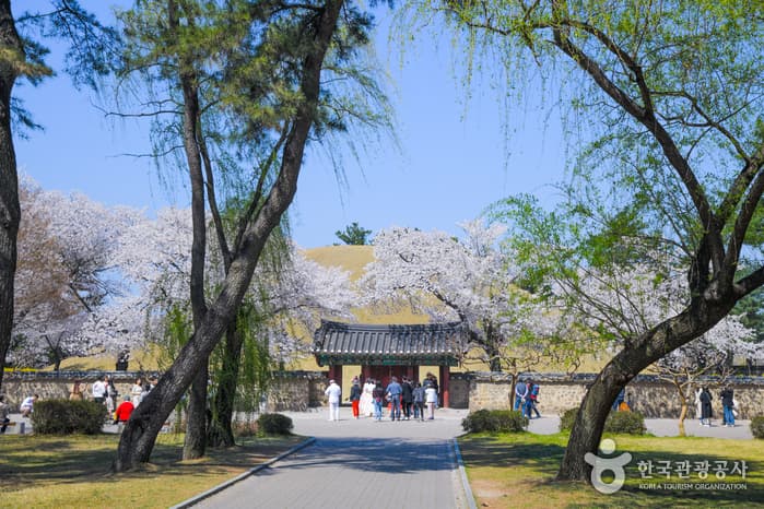 대릉원