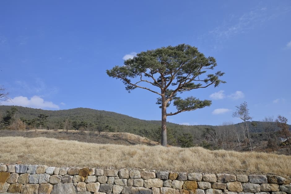정충사 (7)