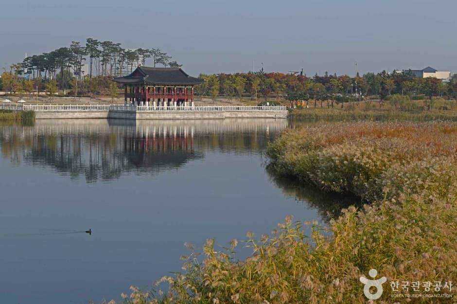 인천_청라호수공원 (7)